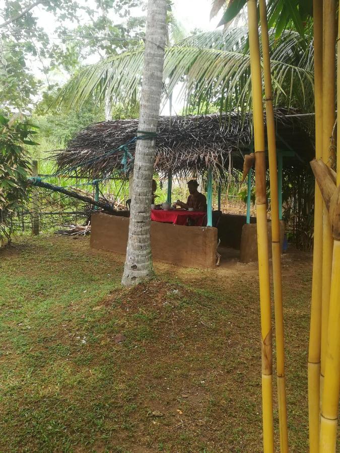 Bamboo Home Stay Hiriketiya 迪克韦勒 外观 照片