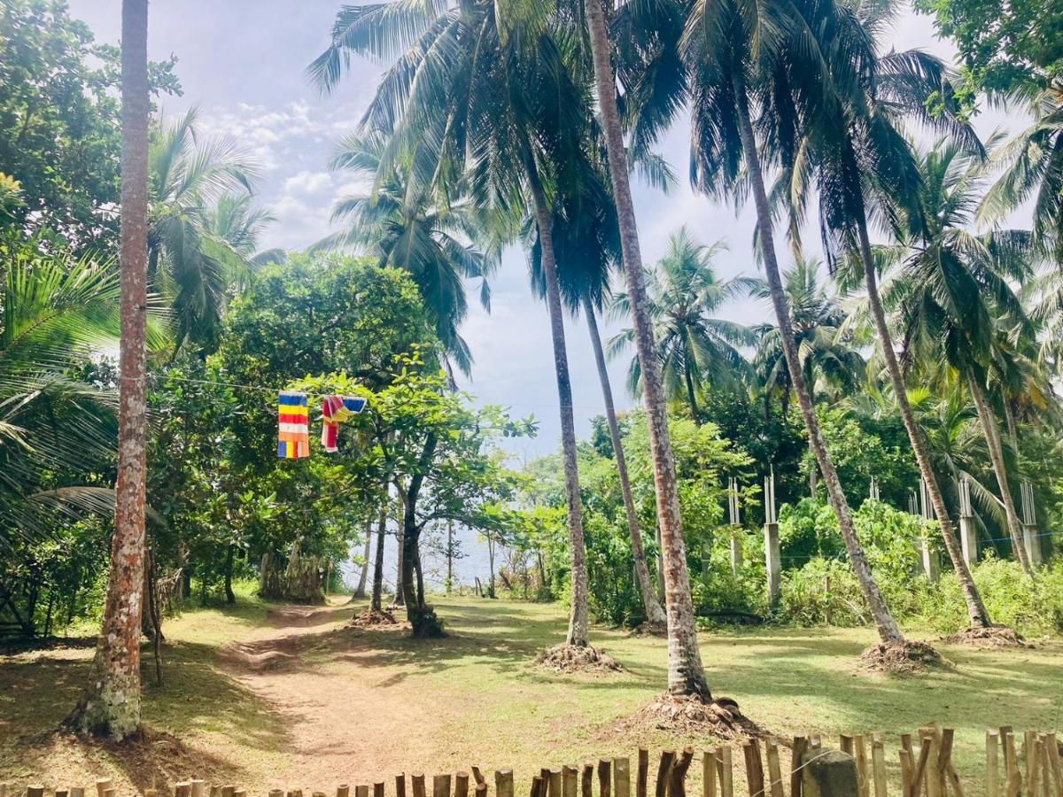Bamboo Home Stay Hiriketiya 迪克韦勒 外观 照片