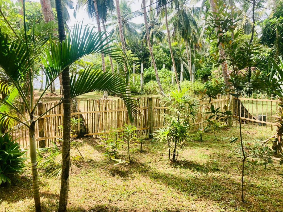 Bamboo Home Stay Hiriketiya 迪克韦勒 外观 照片