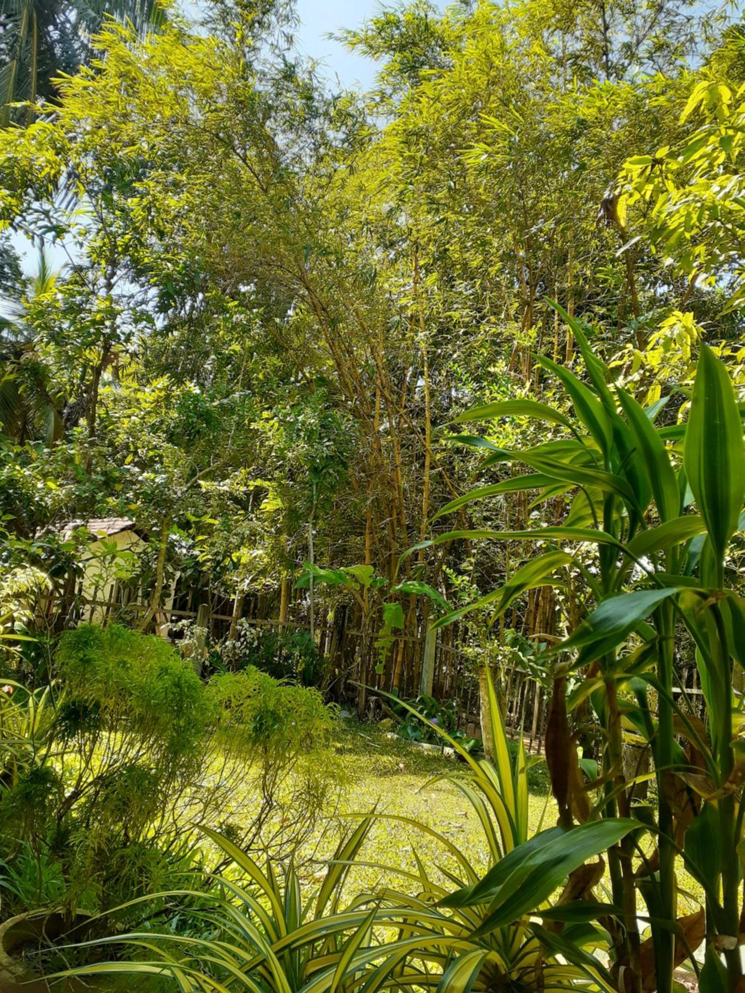 Bamboo Home Stay Hiriketiya 迪克韦勒 外观 照片